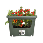 green basics stack & grow large leaf green